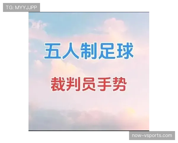 严重犯规的足球裁判标准与判罚原则详解 严重犯规的足球裁判标准与判罚原则详解